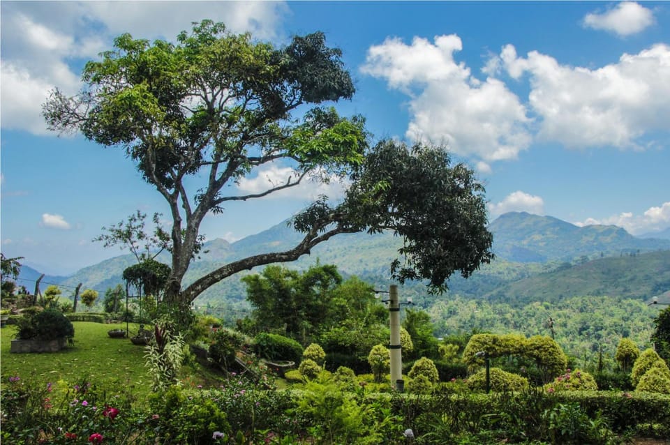 Garden view, Mountain view