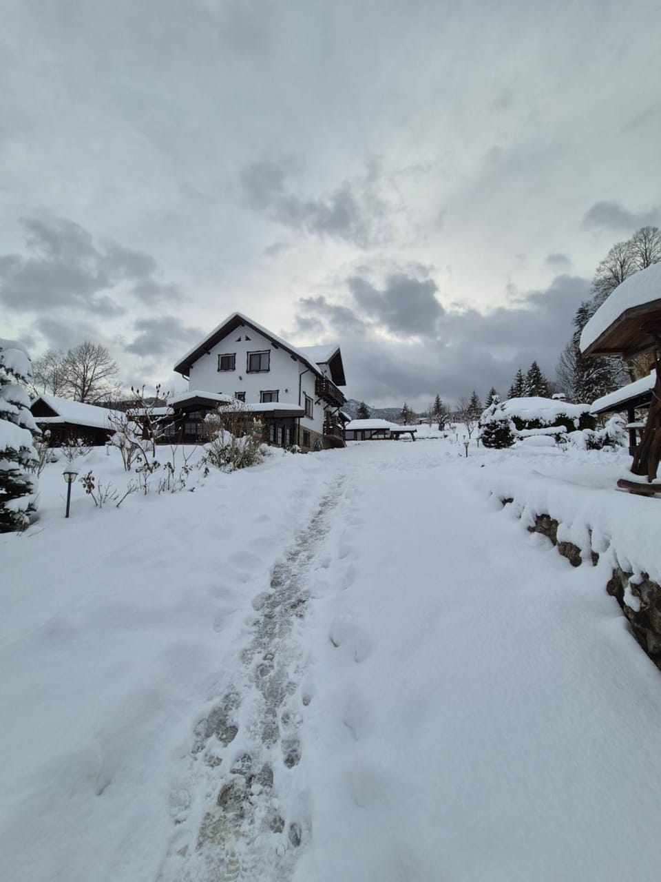 Day, Natural landscape, Winter
