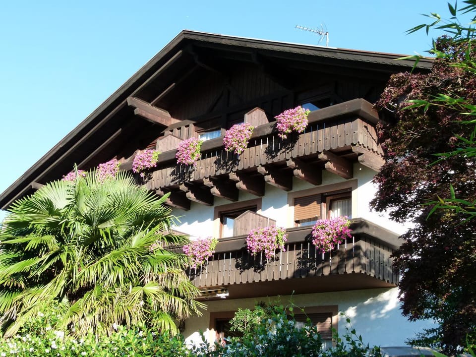 Property building, Spring