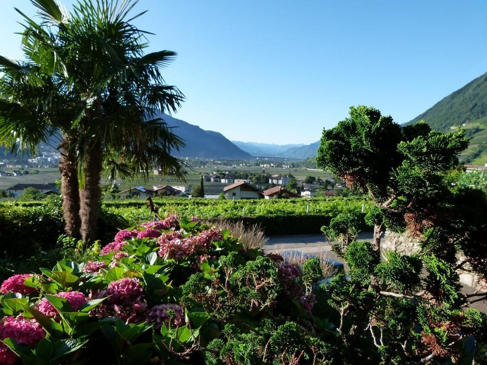 Spring, Day, Natural landscape, Garden, Garden view