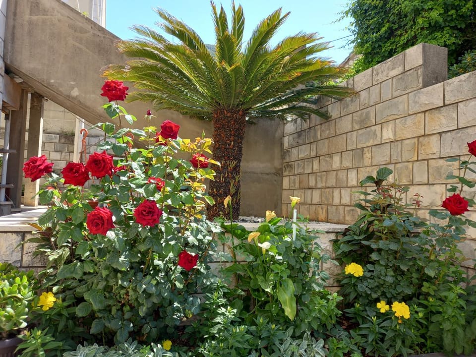 Rooms Radic Bed and Breakfast in Dubrovnik