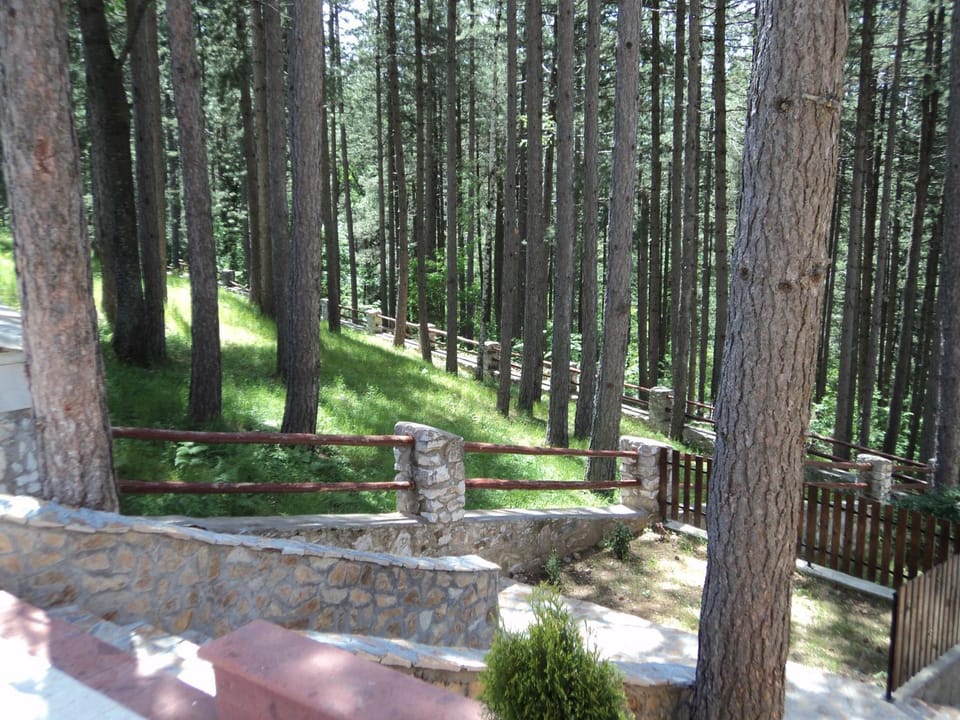 Hotel Asara Hotel in Decentralized Administration of Macedonia and Thrace