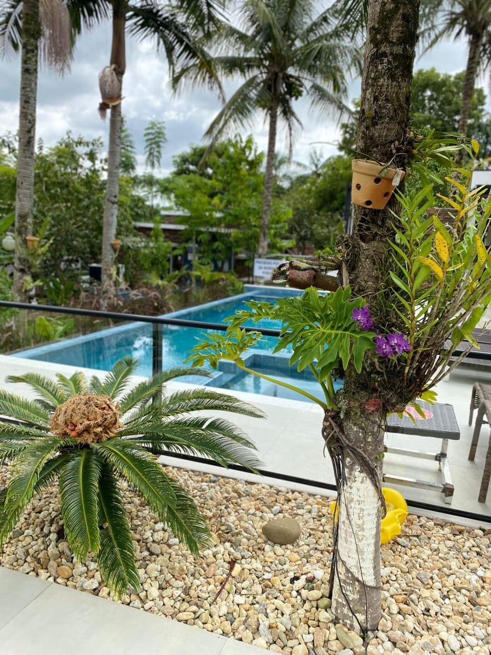 Pousada Bella Casa Inn in Camboriú