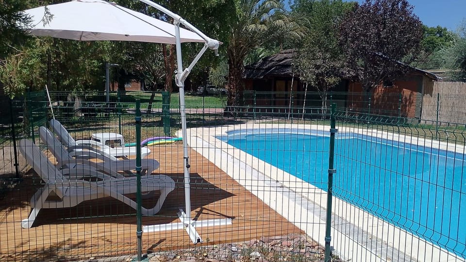 Swimming pool, sunbed