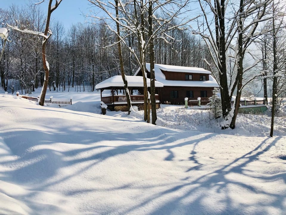 Winter