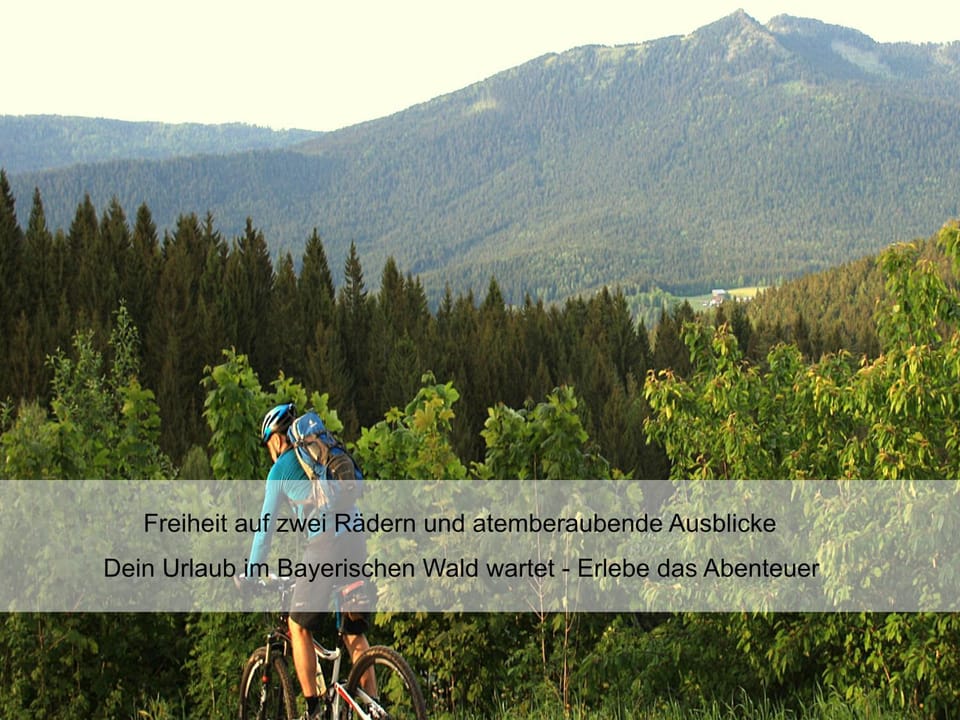 Summer, Cycling, Sports