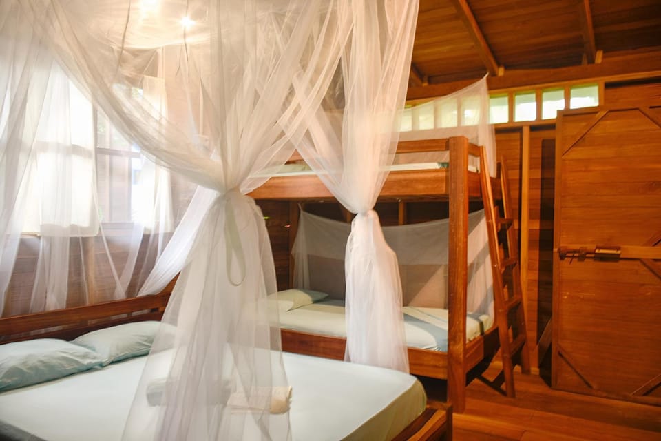 Bed, Photo of the whole room, Bedroom, bunk bed