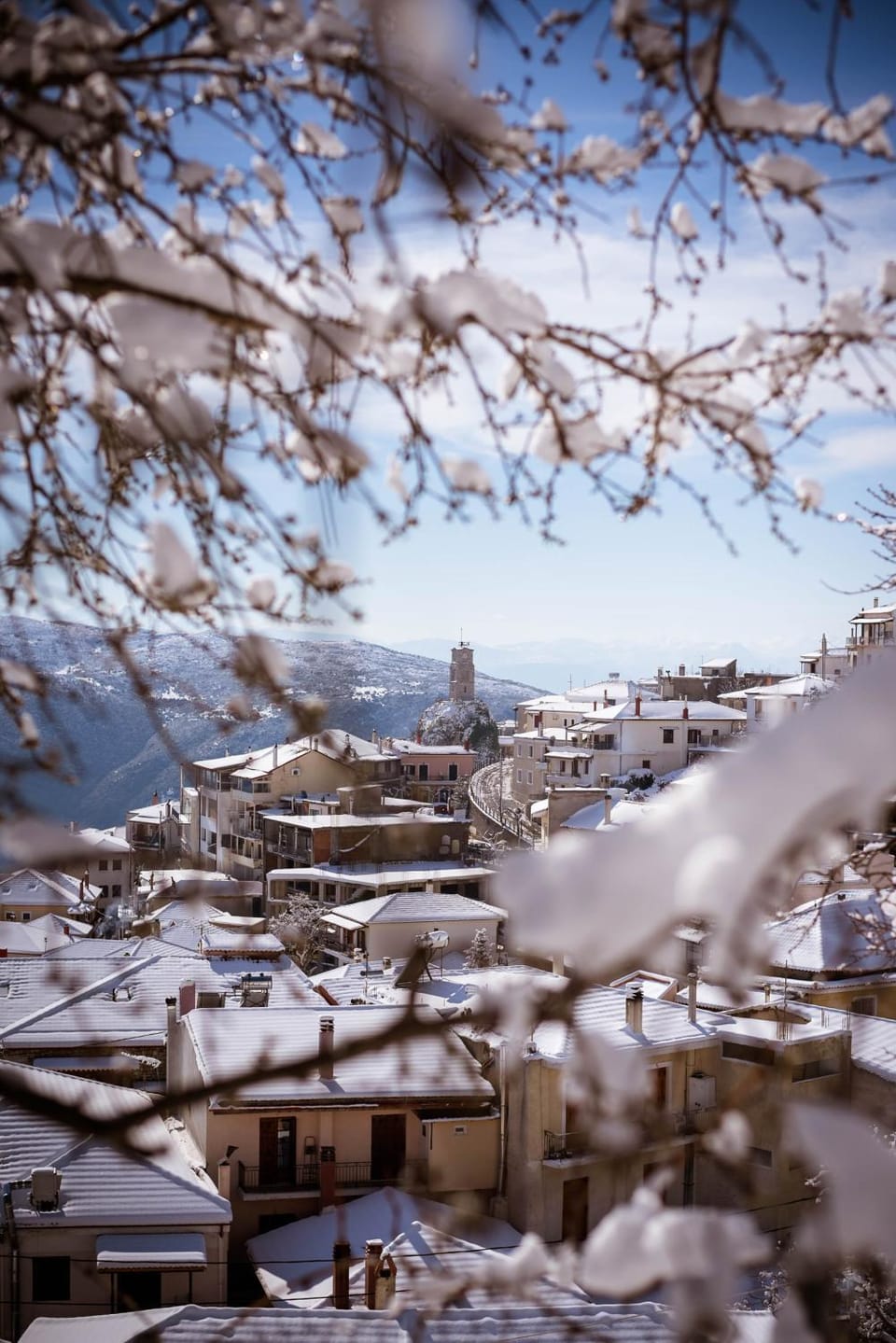 Neighbourhood, Winter