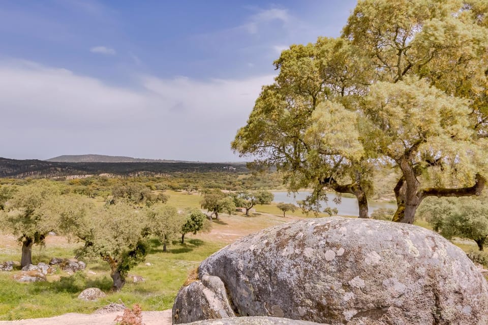 Monte Velho Equo-Resort Country House in Santarém District, Portugal