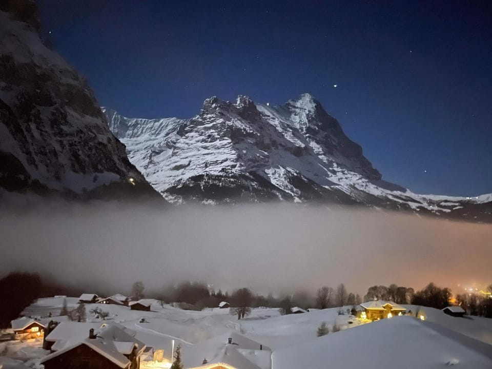 Chalet Luzi Apartment in Grindelwald