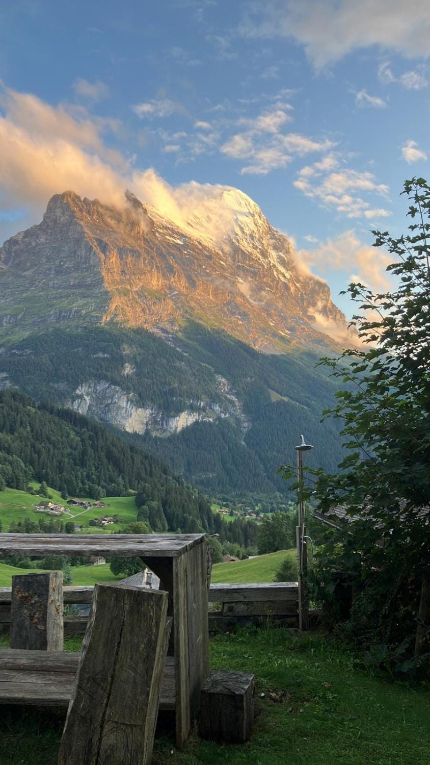 Chalet Luzi Apartment in Grindelwald