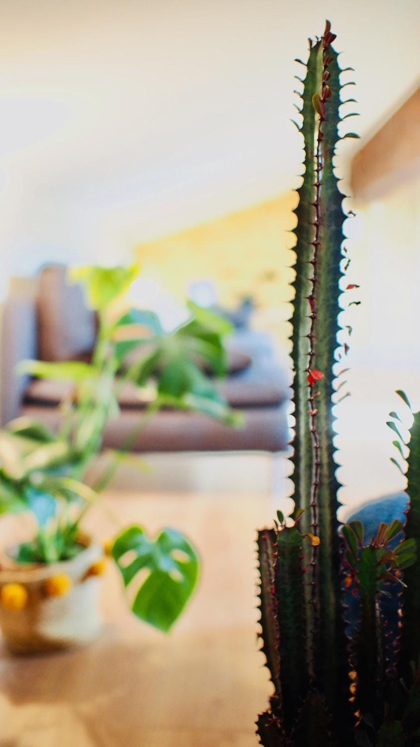 Decorative detail