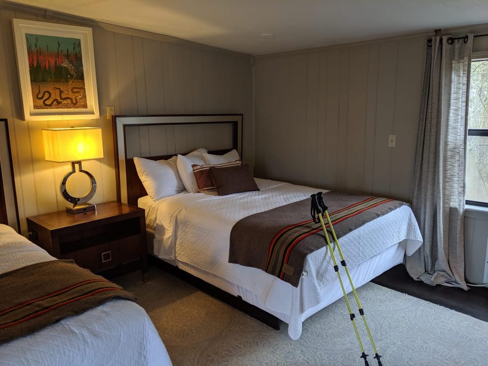 Adventure Cabin 1with 2 Queen Beds Cabin in Eureka Springs