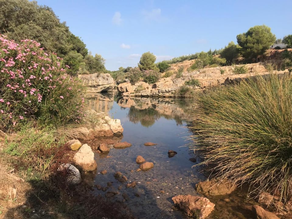Apartamentos Rurales Fuente de Marzo Apartment in Valencian Community
