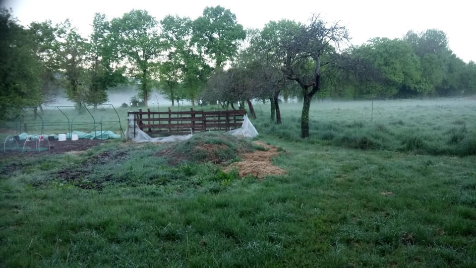Natural landscape, Garden