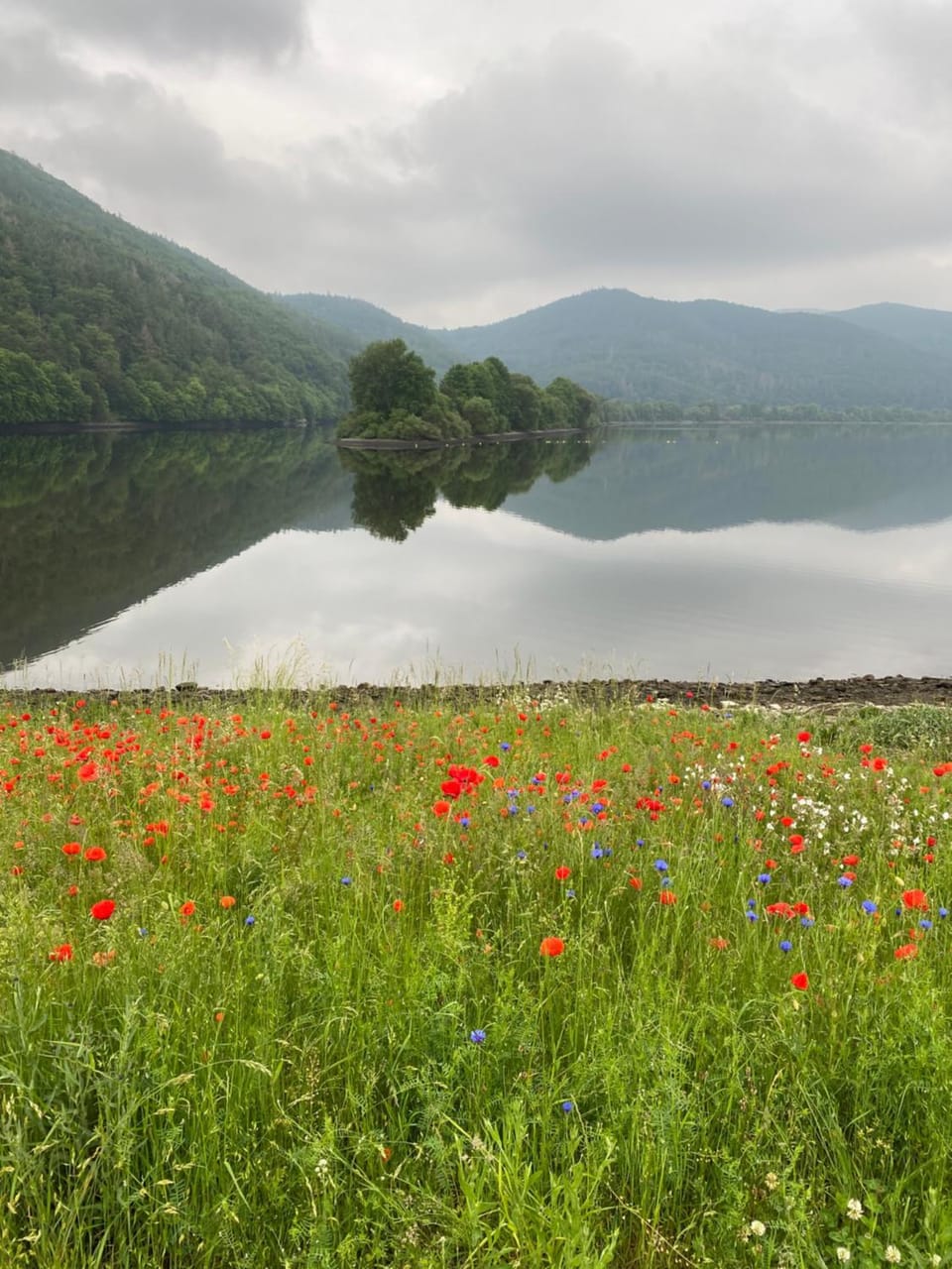 Natural landscape, Lake view