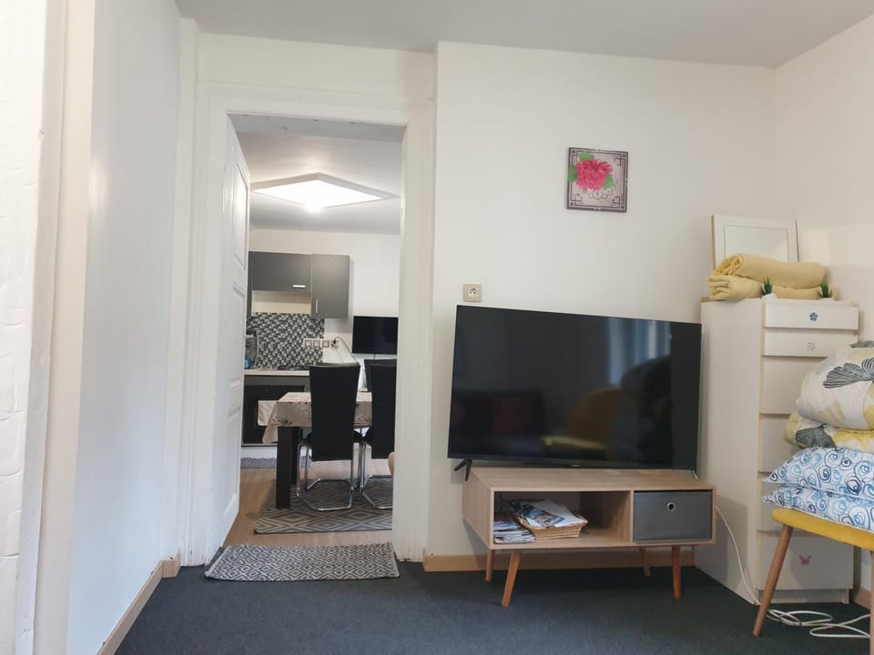 Les hirondelles 69 Apartment in Colmar