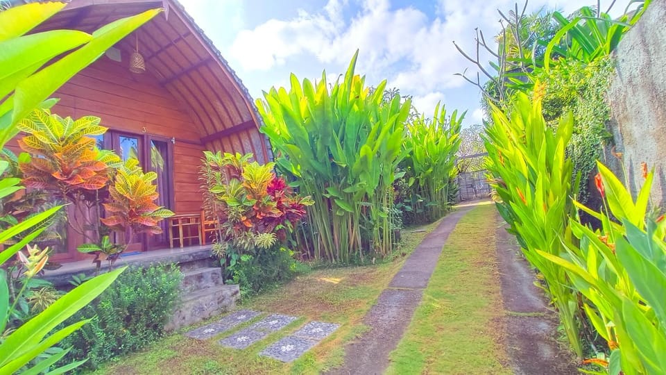 Spring, Day, Natural landscape, Garden, Garden view