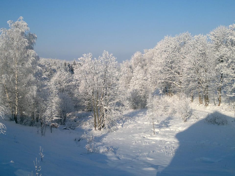 Natural landscape, Winter