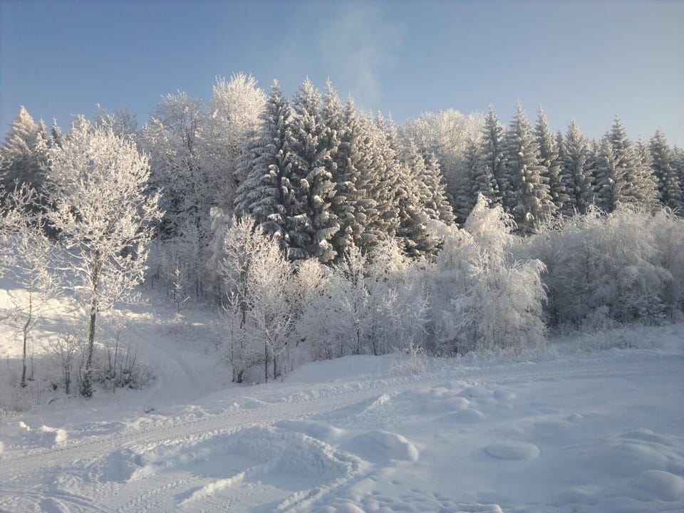 Natural landscape, Winter