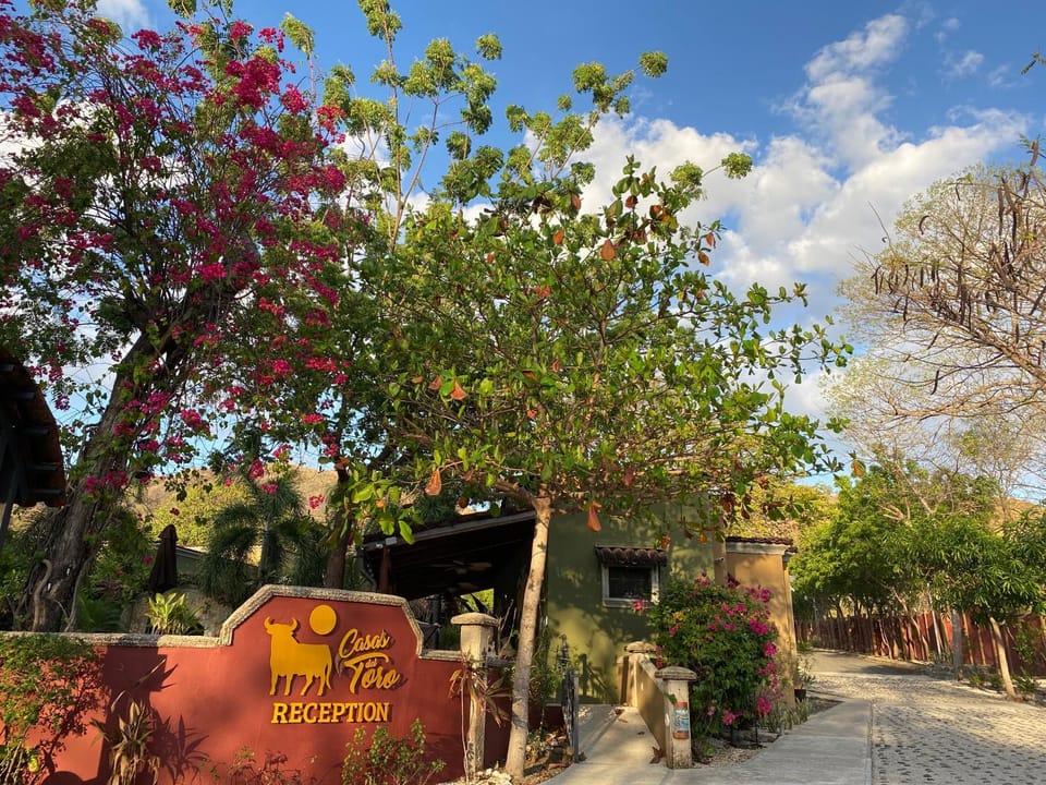 Day, Garden, Lobby or reception, Street view