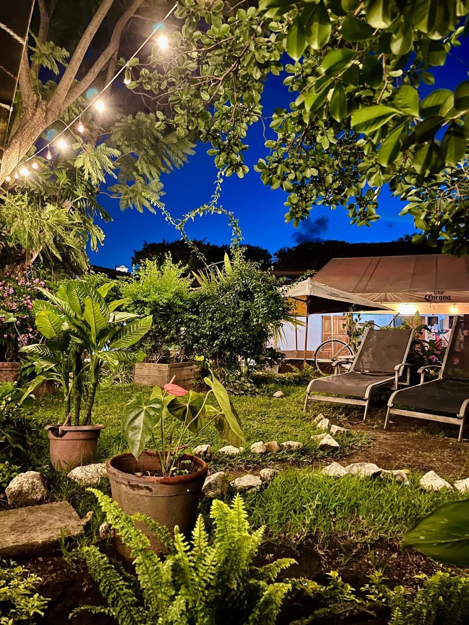 Night, Garden