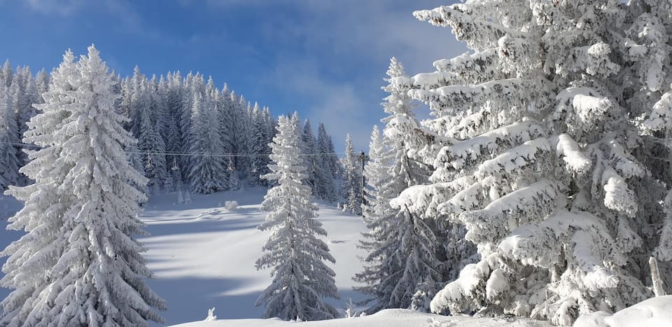 Winter, Mountain view