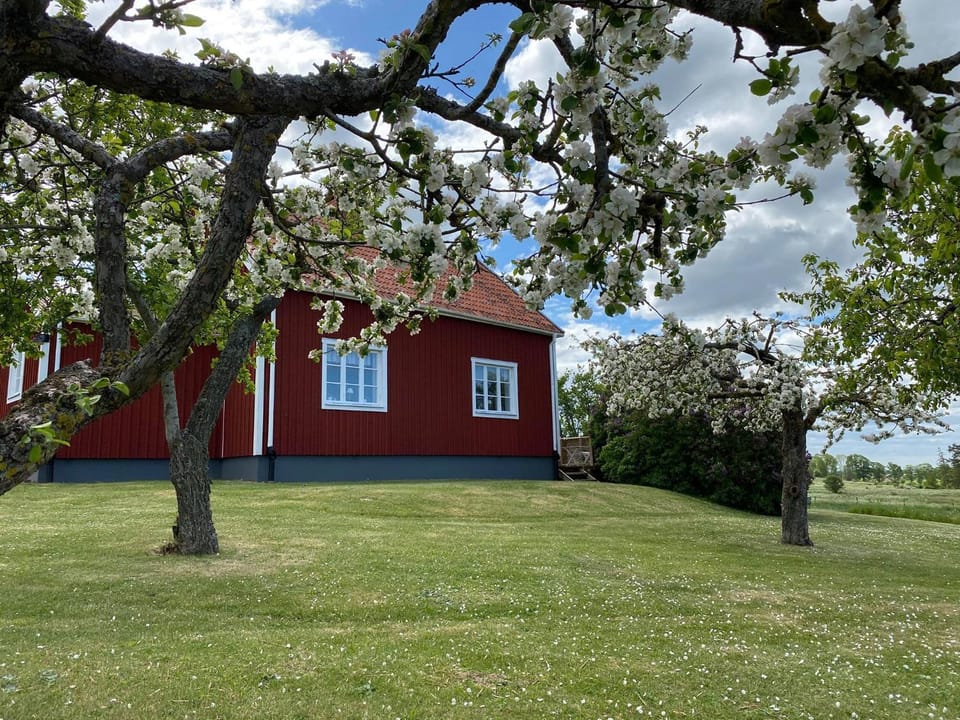 Property building, Spring, Garden, Garden view