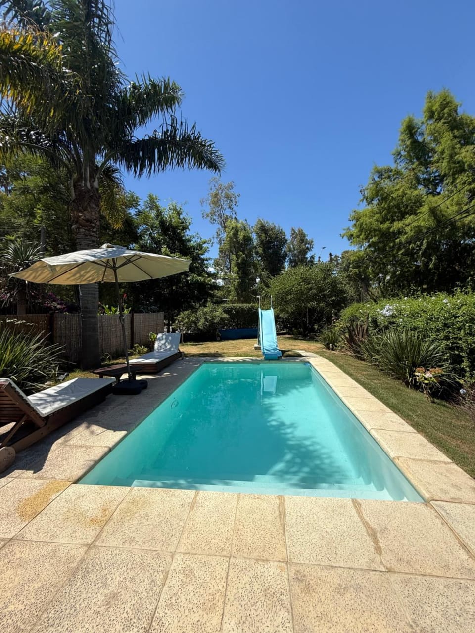 Spring, Day, Garden, Garden view, Pool view, Swimming pool, sunbed