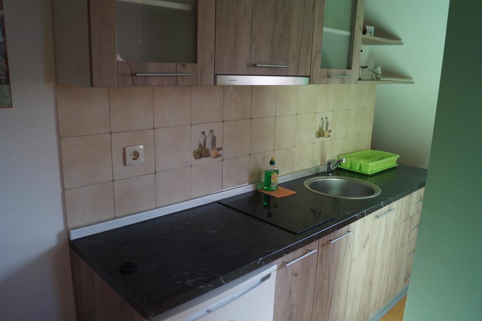 Duplex Carlos Apartment in Zlatibor