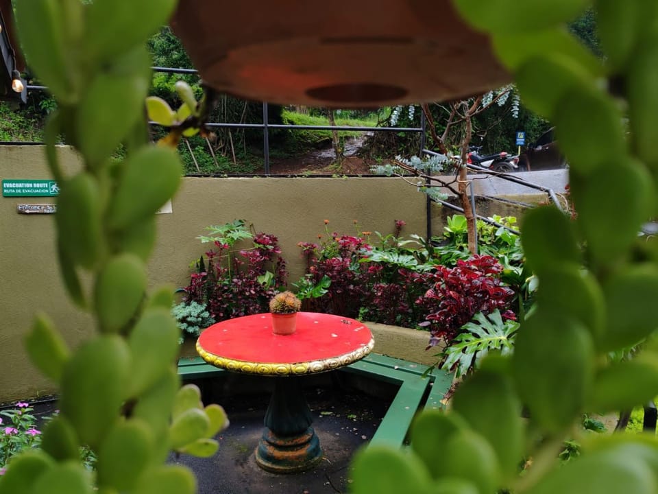 Patio, Balcony/Terrace