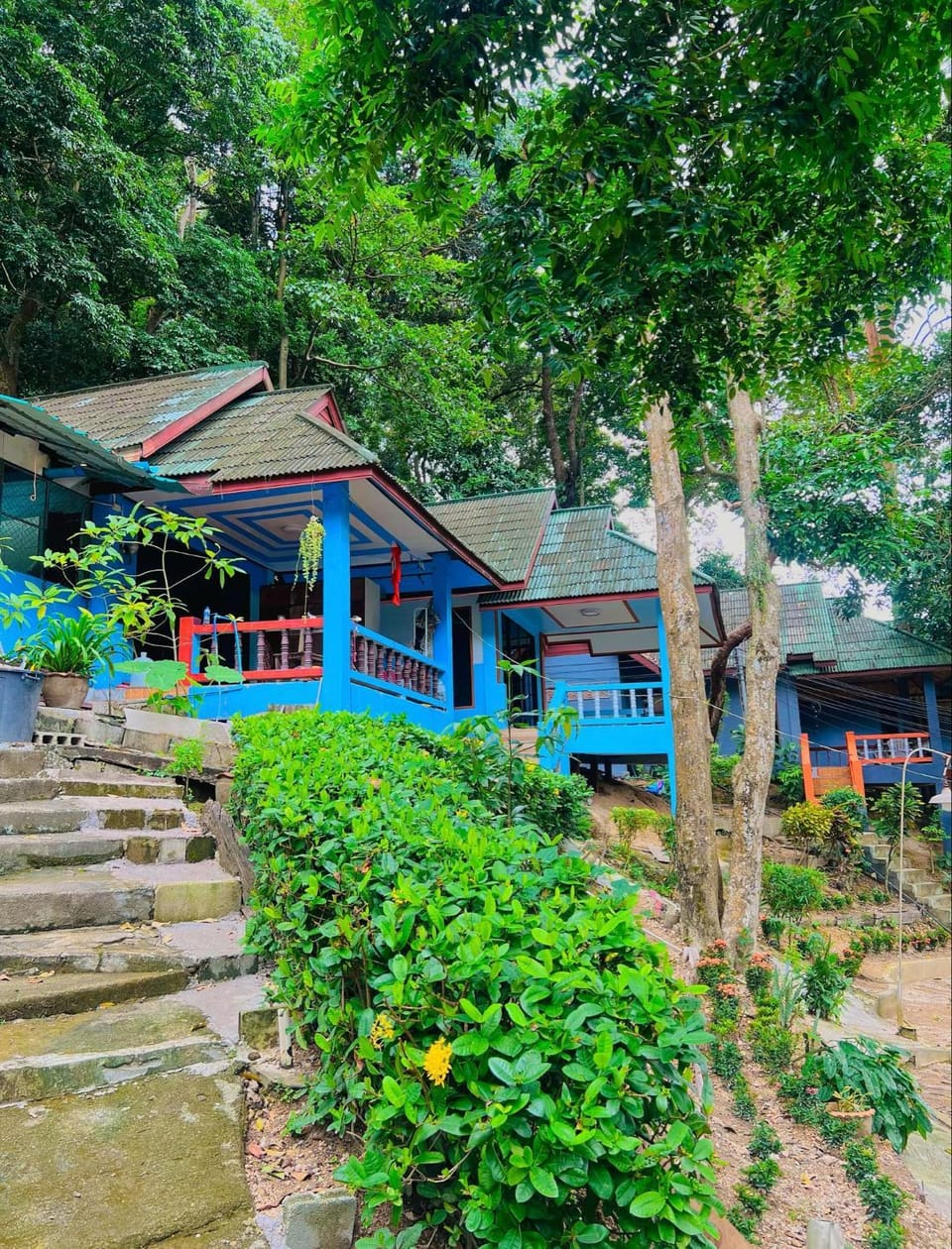 Property building
