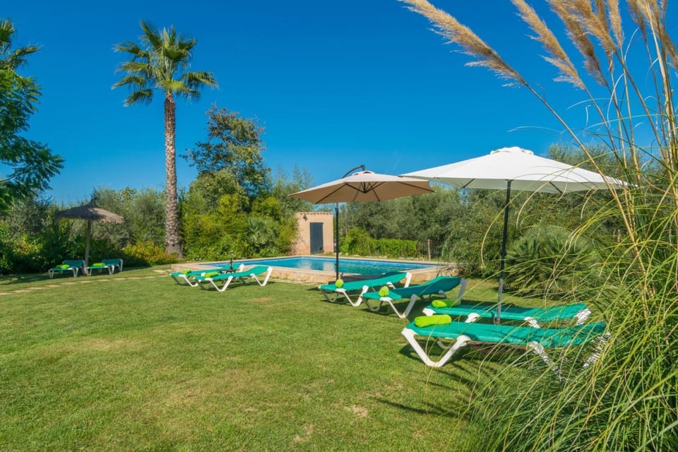 Garden, Swimming pool