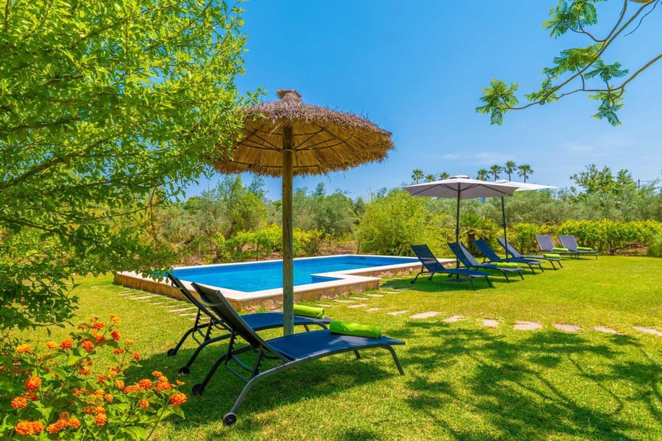 Other, Swimming pool