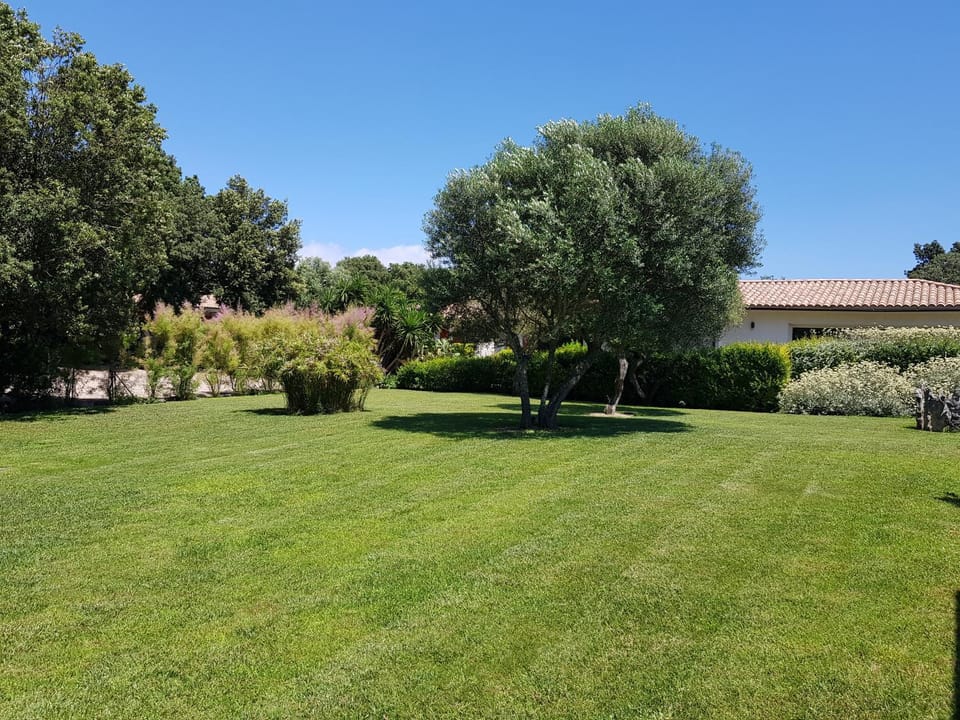 Spring, Day, Natural landscape, Garden, Garden, Garden view