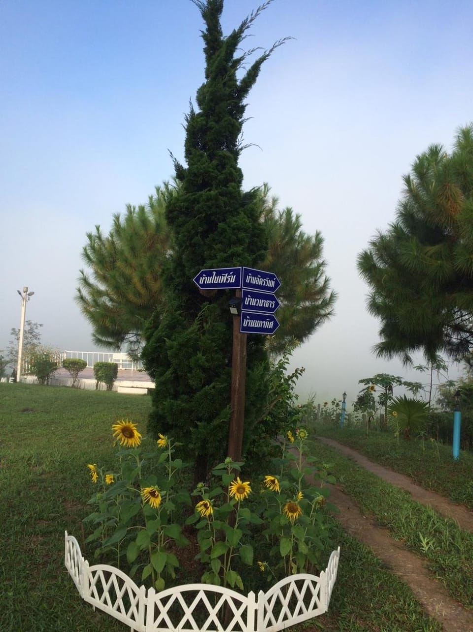 Natural landscape, Garden