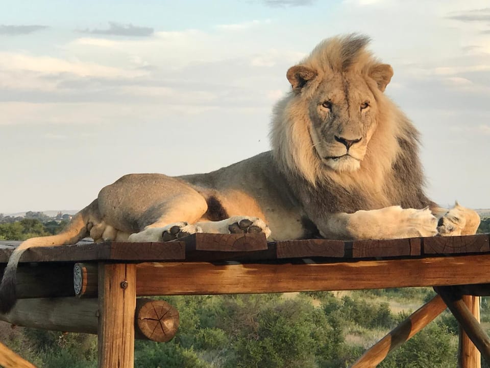 Weltevreden Game Lodge Nature lodge in South Africa