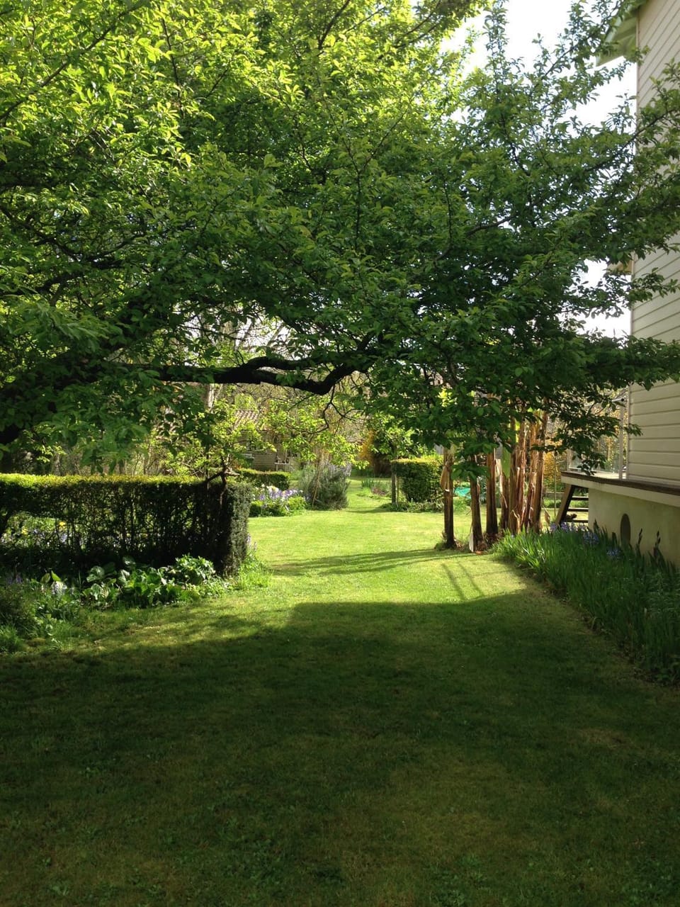 Staff, People, Garden, Garden view, Family