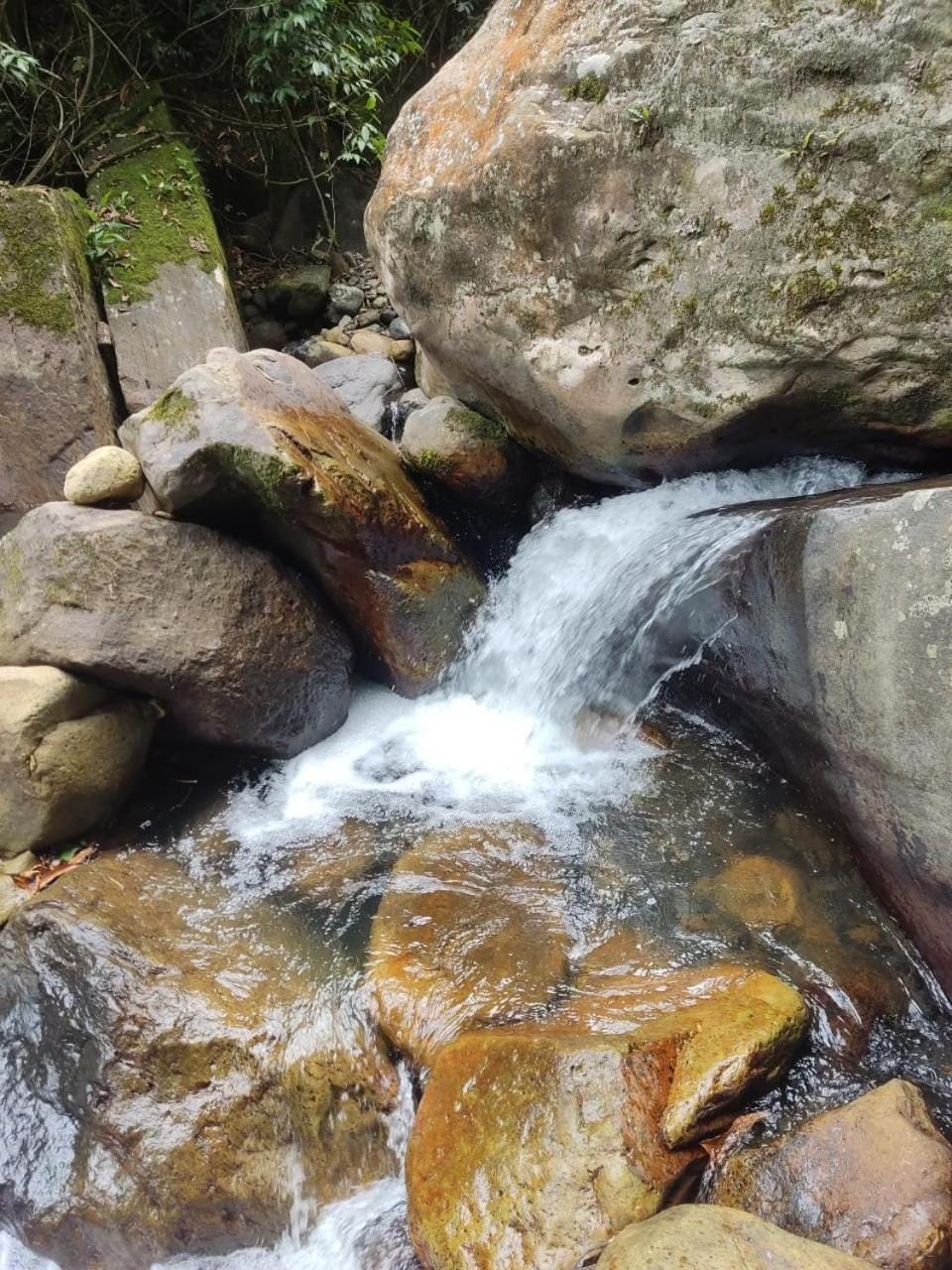 Finca Jardín del Agua Nature lodge in Cundinamarca, Colombia