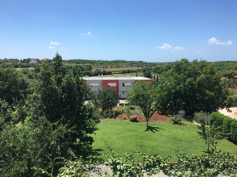 Garden view, Inner courtyard view