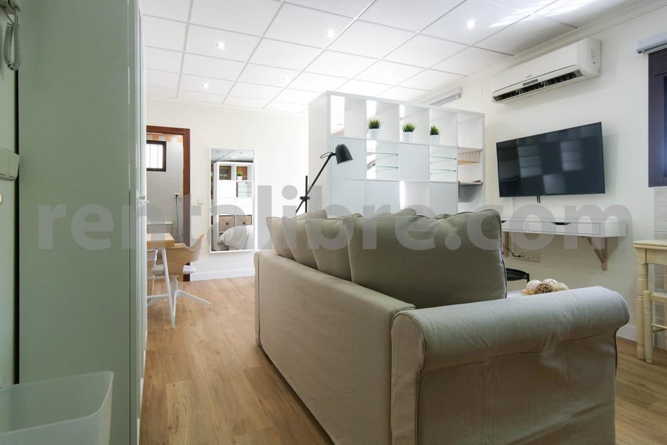 TV and multimedia, Living room, air conditioner