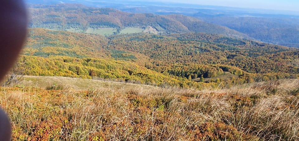 Natural landscape