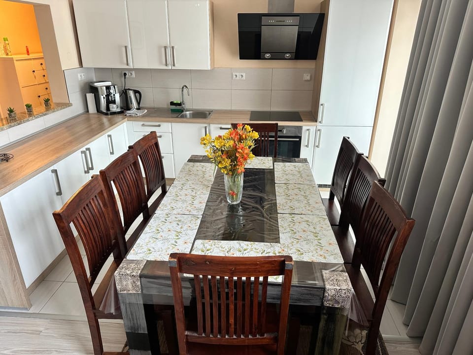 Kitchen or kitchenette, Dining area, dishwasher, stove