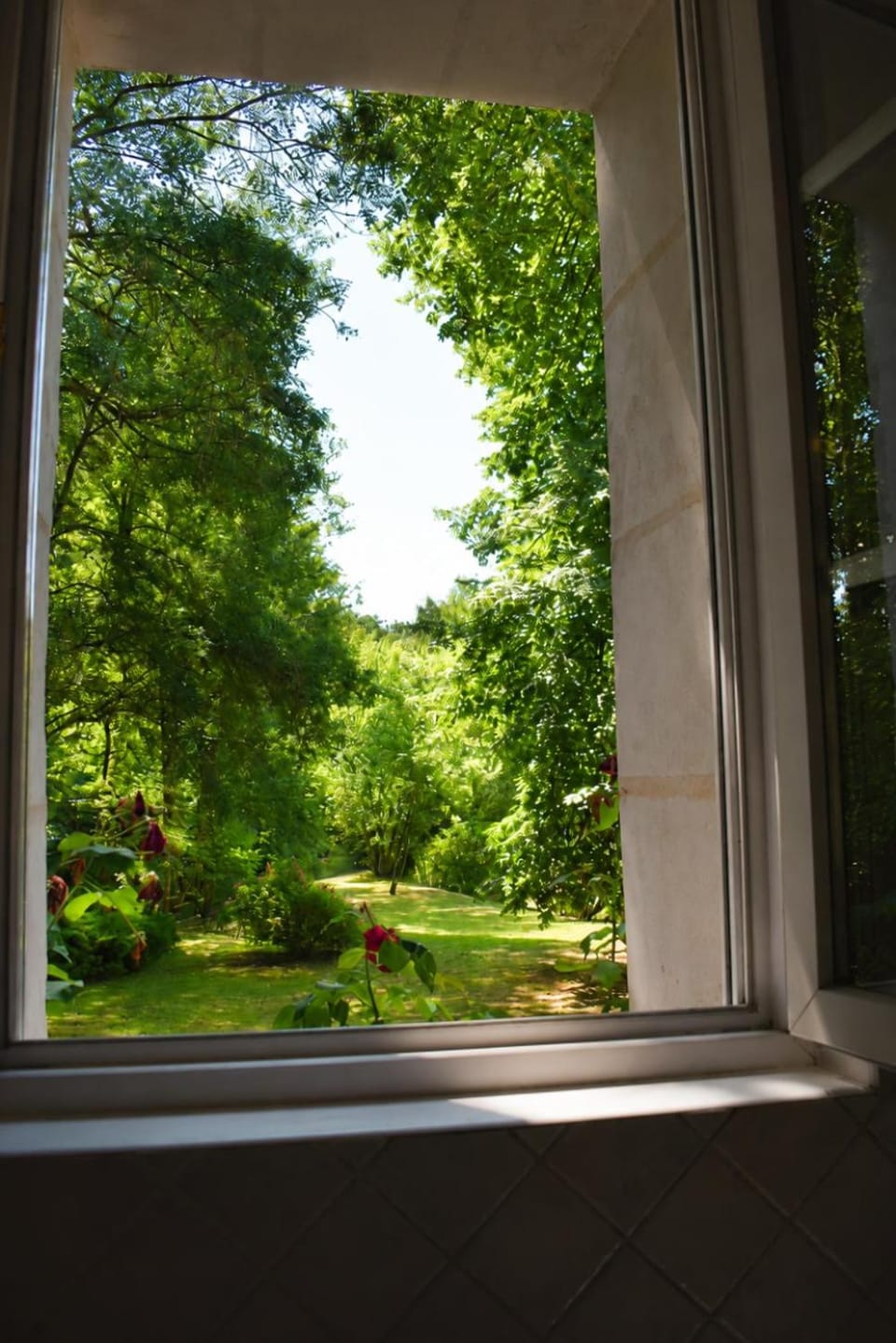 Garden view