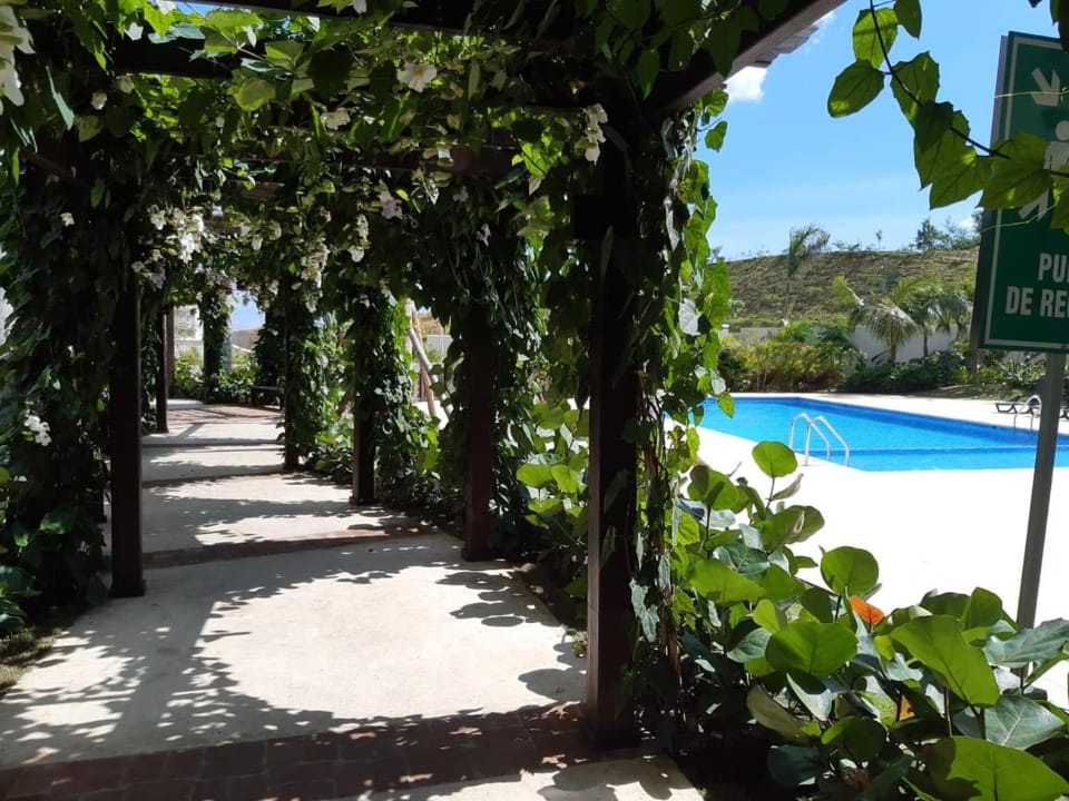 Pool view