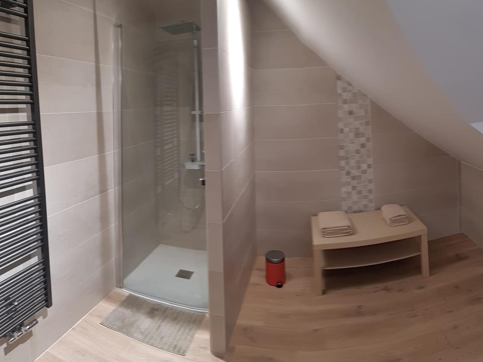 Gite Le Petit Malsbach Eguisheim 3 étoiles Apartment in Grand Est