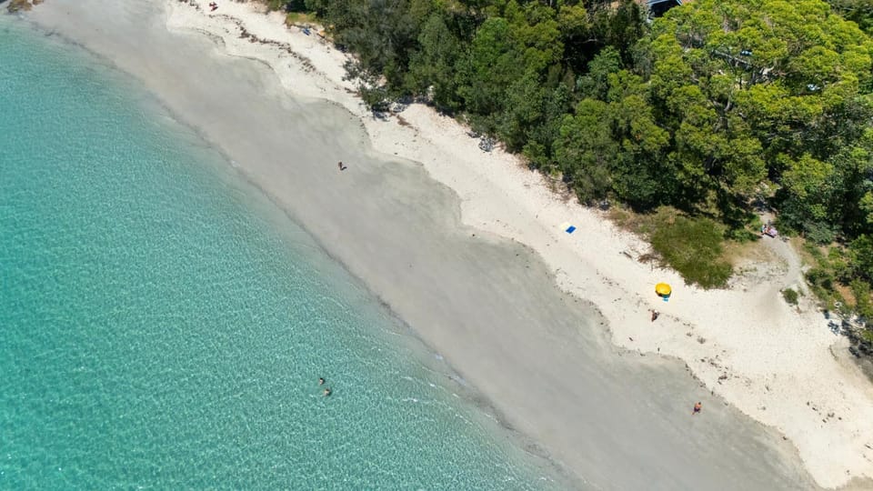 Acacia on Orion Beach - pet-friendly coastal home House in Vincentia
