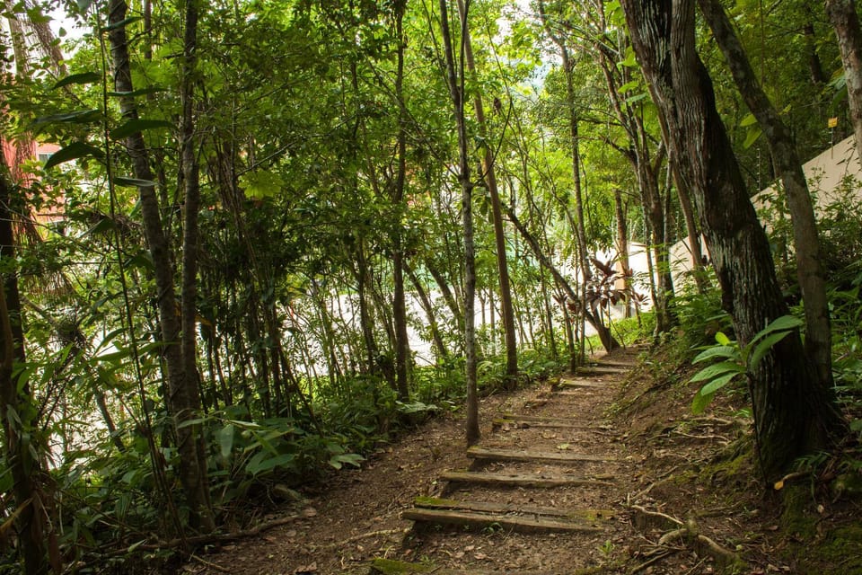 Hiking