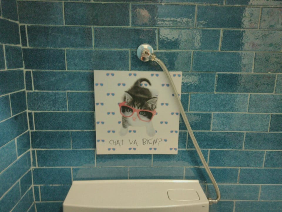 Toilet, Bathroom