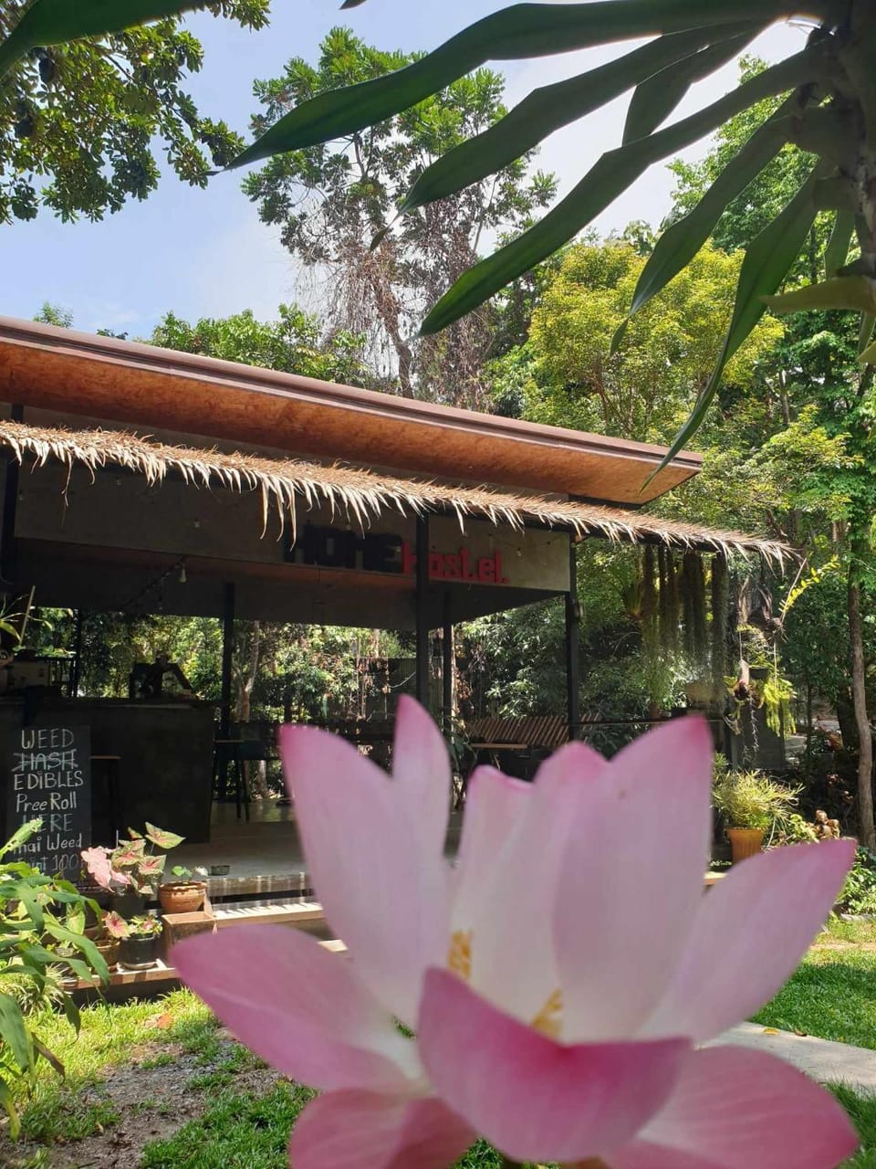 HomeHostel Hostel in Koh Chang Tai
